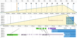 ExaSGD Performance Profiling