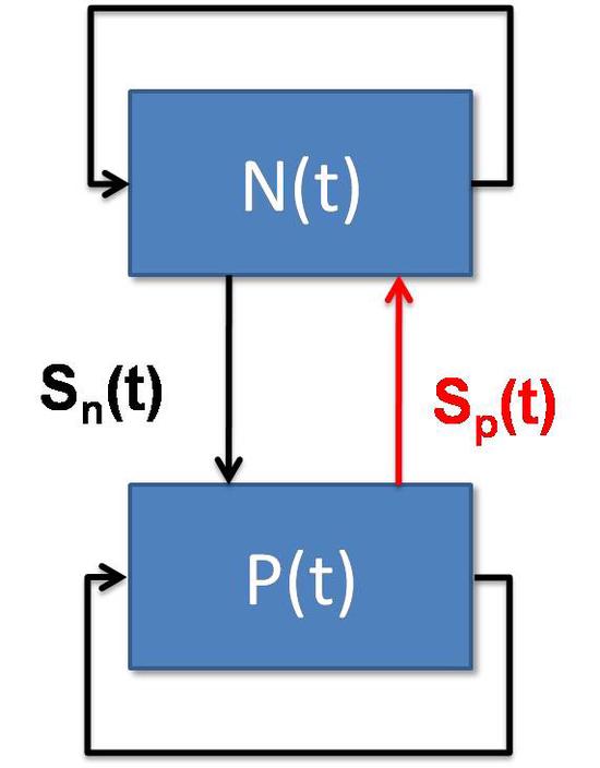High-Performance Simulations for Capturing Feedback and Fidelity in Complex Networked Systems